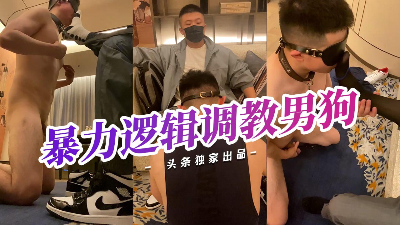 暴力邏輯調教男狗